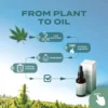 30% CBD Oil