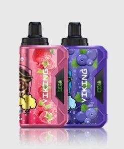 VapSolo VIKING 12000 Puffs – Pack 2 items