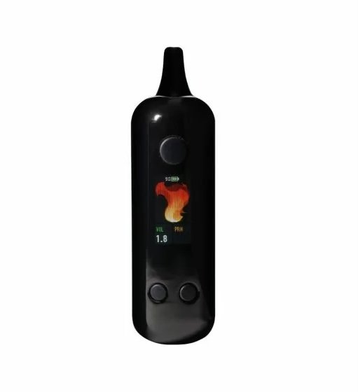 LITL SNEAKY - Image 4
